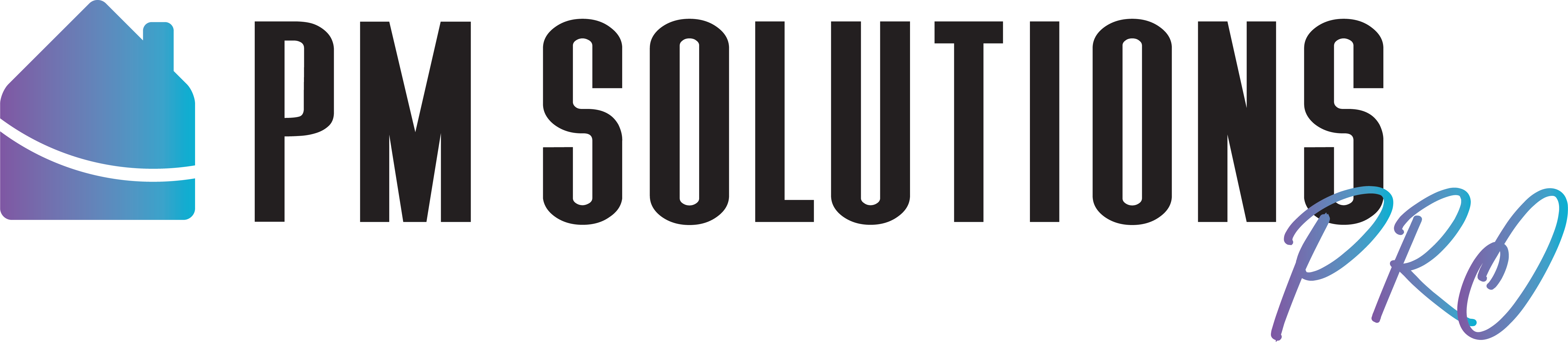 PM Solutions Pro